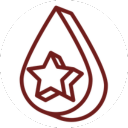 Top-quality Tint Options